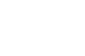 Houston Young Lawyers Foundation
