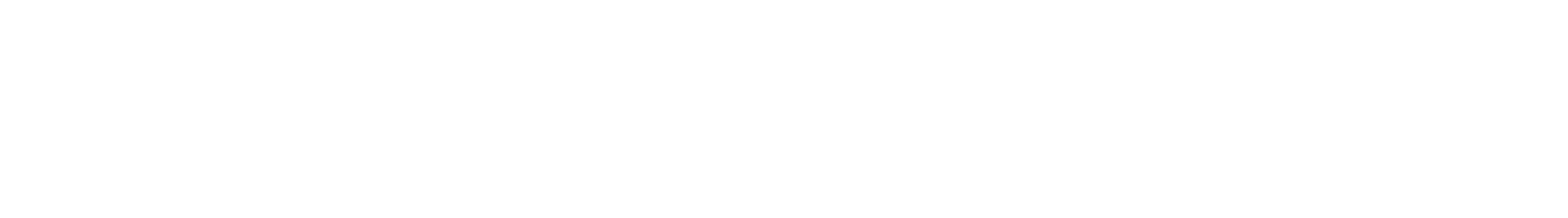 30 years experience